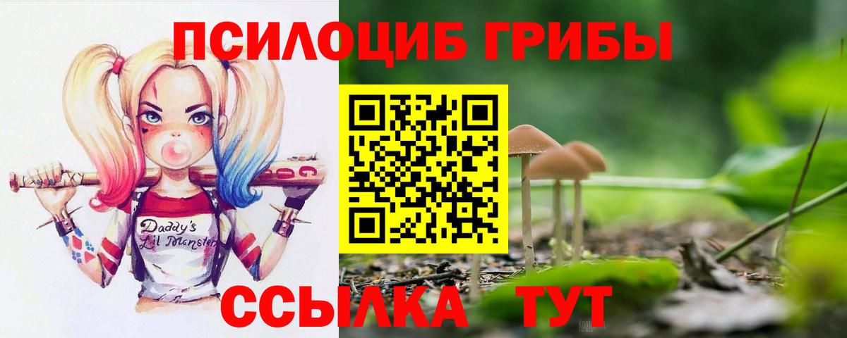 Галлюциногенные грибы Psilocybe Керчь