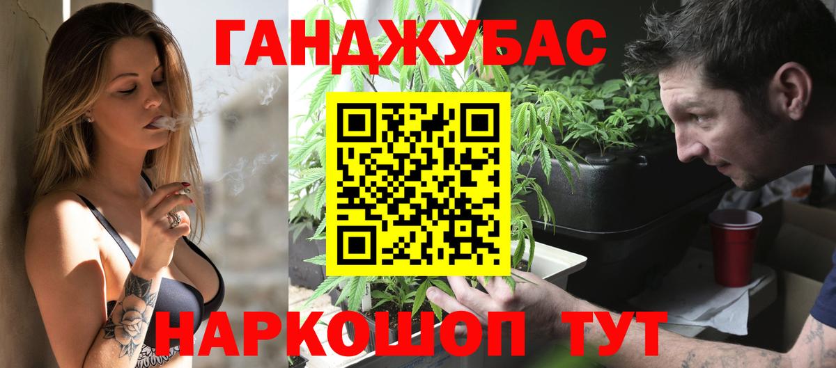 Бошки Шишки ГИДРОПОН  Канабис планчик  Керчь  Вход с VPN  Конопля гибрид 